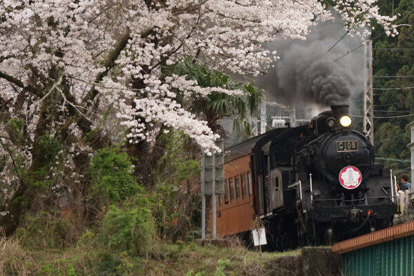 「ブルートレインの機関車を再現しました」←コイツで!? にじみ出る“コレじゃない感”に鉄道ファンがグッとくるワケ その狙い