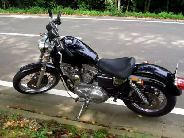 バイクのサイドスタンド左ばかり、なんで？ じつは「剣」が大きく関係か 知られざる歴史と道路事情が生んだ意外な理由