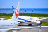 「JAL＆ANA国内線、1月後半減便へ 沖縄県発着路線をメインに 新型コロナ」の画像1