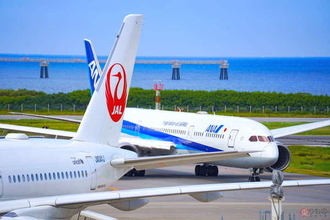 JAL＆ANA国内線、1月後半減便へ 沖縄県発着路線をメインに 新型コロナ