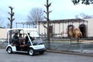 「埼玉最大級のグランピング施設」ついに開業！ 閉園後の動物園を電動カートで巡るツアーも