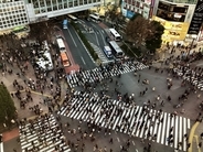 なぜ「X型」じゃない？ 渋谷スクランブル交差点に斜め横断歩道が1本しかないワケ 歴史は半世紀