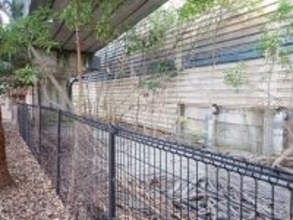 「おい信じられるか？ ここ全部“海”だったんだぜ…？」 高速道路の“ナゾの橋”の下で“遺構”を発見！ 周りは千葉の住宅街!?