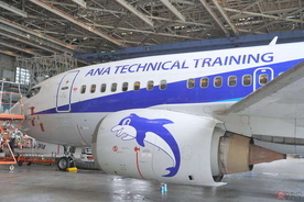 激レア！ ANA「整備訓練機」に迫る わずか1機の737-500「スーパードルフィン」 機内はどう変化？