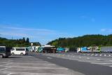 「高速道路で「数十年に一度咲く奇跡の花」開花スタート！ 週明け見頃か」の画像1