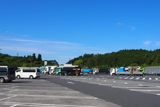 高速道路で「数十年に一度咲く奇跡の花」開花スタート！ 週明け見頃か