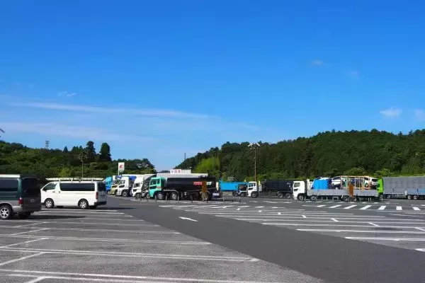 高速道路で「数十年に一度咲く奇跡の花」開花スタート！ 週明け見頃か