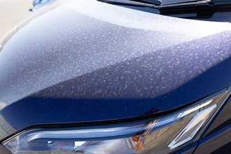 愛車が悲鳴！「花粉・黄砂」の対処法 水でも落ちないベッタリ汚れ 予防策は？ 洗車機は長蛇の列も