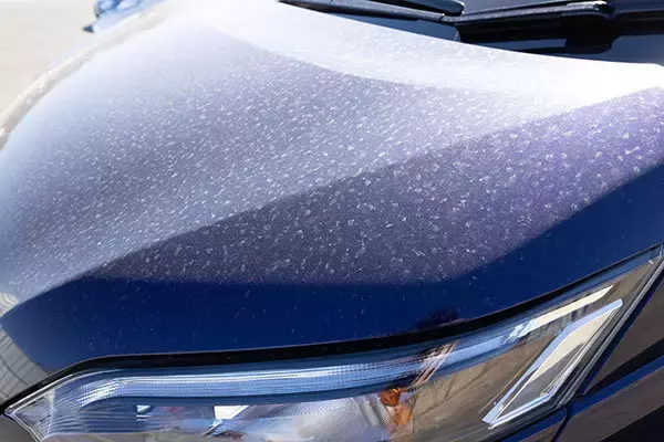 愛車が悲鳴！「花粉・黄砂」の対処法 水でも落ちないベッタリ汚れ 予防策は？ 洗車機は長蛇の列も