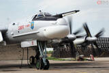 「ソ連が生んだ怪鳥「世界最速のプロペラ機」とは？ 爆速達成の“アシナガバチ”ルックス」の画像1
