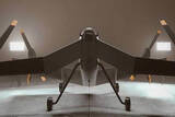 「「機体が起立！…離陸!!」驚愕コンセプトの航空機、その最新状況は？ 見た目“虫”、動きは“犬”!?」の画像1