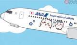 「超展開！ ANA「ちいかわジェット」10月爆誕へ 「かわいすぎて搭乗不可避！」その驚愕の全貌とは」の画像1