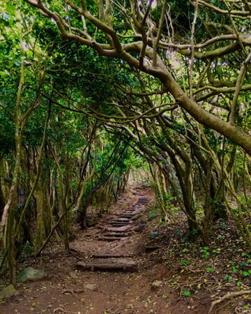 極秘情報 となりのトトロの 最重要機密6選 を公表 トトロの本名が判明 16年8月27日 エキサイトニュース 2 4