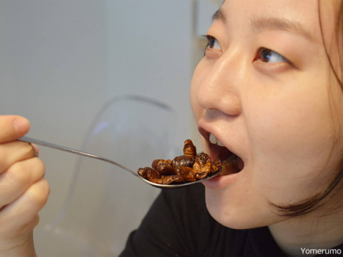 衝撃 長野県に伝わる虫食グルメ 蚕のさなぎ を実食 その味はいかに 17年2月22日 エキサイトニュース