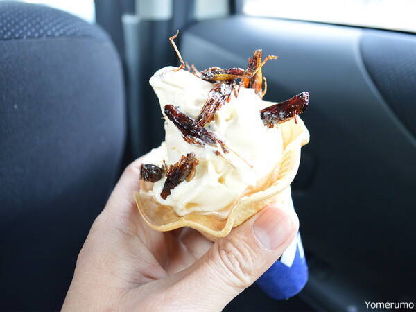 激ヤバ 日本で一番グロいけど一番ウマいはず イナゴソフトクリームを食べてみた 17年3月13日 エキサイトニュース 3 4