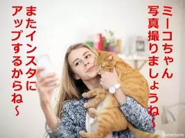 猫の目にはこう見えていた 人間の視点とのわかりやすい比較いろいろ 13年10月18日 エキサイトニュース