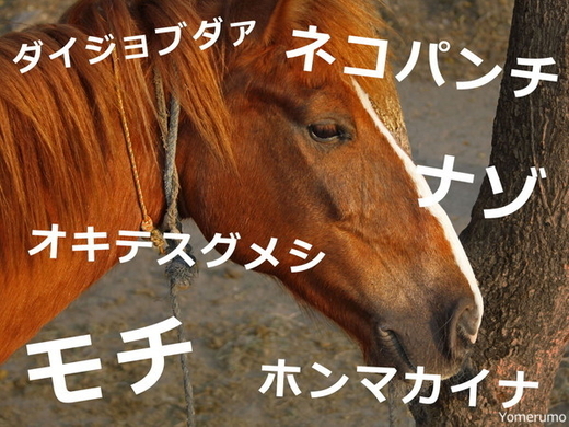 思わず2度見 クセの強すぎる競走馬の名前ランキング 年5月31日 エキサイトニュース