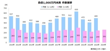 2024年1-6月「負債1,000万円未満」倒産 261件 2010年以降で3番目の高水準「破産」が約98％