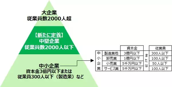 2024年の「中堅企業」は9,229社　企業支援の枠組み新設で、成長を促進し未来志向へ