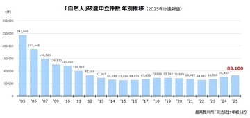 個人破産、13年ぶり高水準　～ 貸出姿勢の変化と業界を跨いだ悪循環 ～