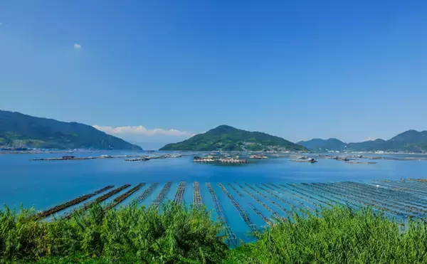 「「再び」輸出されるようになった日本のカキ　かつて外国の市場を救った歴史も」の画像