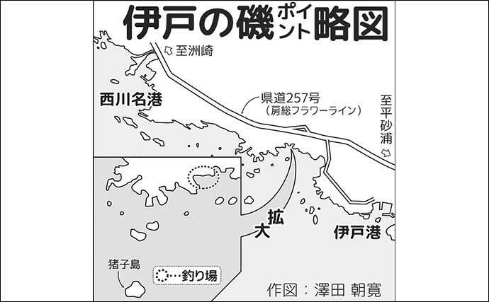 夜の地磯でのフカセ釣りでイサキ5尾【千葉・伊戸】ゲストにメイチダイも