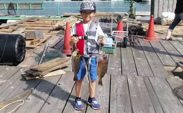 「【釣果速報】イカダで50cm級クロダイに海上釣り堀ではマダイ続々（三重）」の画像