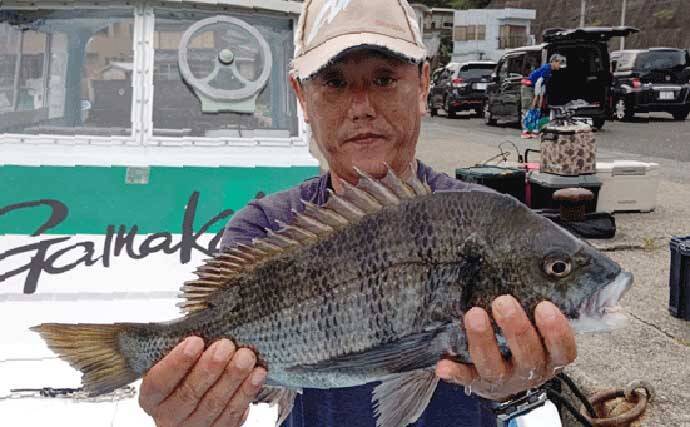 【釣果速報】イカダで50cm級クロダイに海上釣り堀ではマダイ続々（三重）