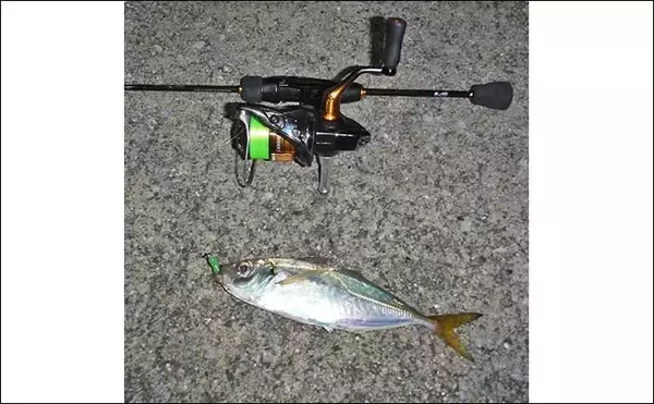 「堤防ナイトアジング釣行でアジ15匹【三重・四日市港】特定のワームにヒット集中」の画像