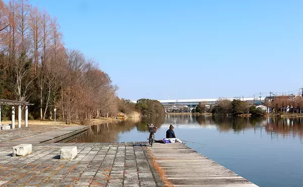 「今週のヘラブナ推薦釣り場2025【東京＆埼玉・水元小合溜】」の画像
