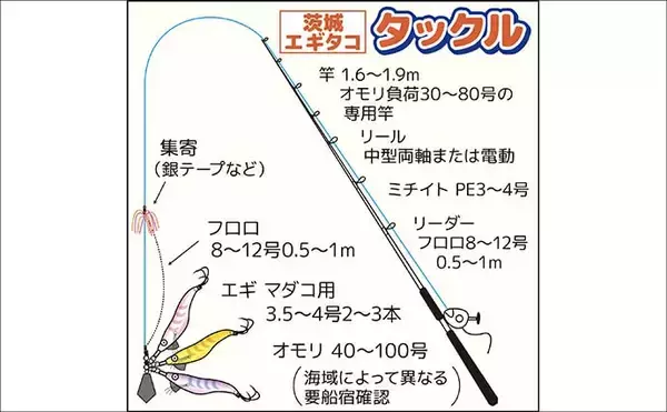 「茨城＆東京湾で始めるエギタコ釣り：失敗しない誘い方とアワセ完全ガイド」の画像
