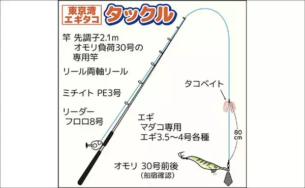 「茨城＆東京湾で始めるエギタコ釣り：失敗しない誘い方とアワセ完全ガイド」の画像