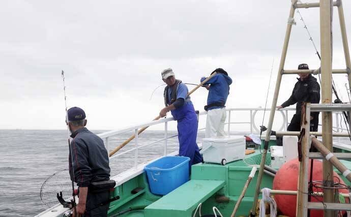 茨城＆東京湾で始めるエギタコ釣り：失敗しない誘い方とアワセ完全ガイド