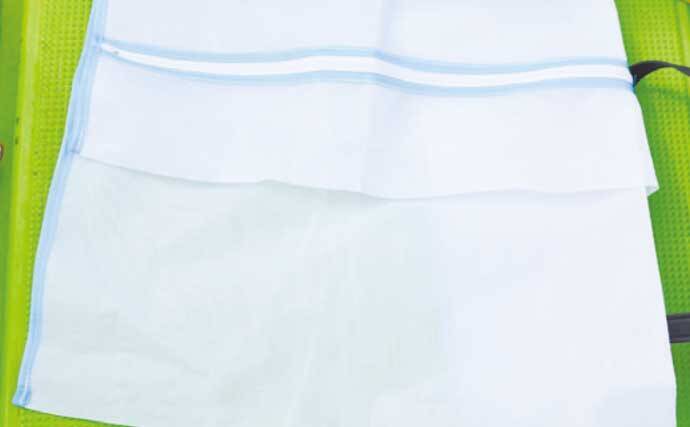 茨城＆東京湾で始めるエギタコ釣り：失敗しない誘い方とアワセ完全ガイド