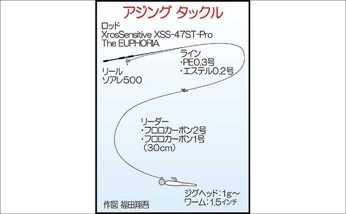 夕マヅメのアジングで27cmマアジ手中！【福岡・新宮町】後半はメバル狙いでアコウがヒット