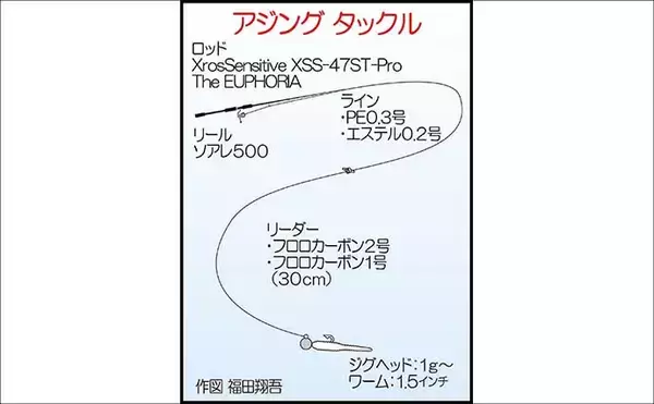 「夕マヅメのアジングで27cmマアジ手中！【福岡・新宮町】後半はメバル狙いでアコウがヒット」の画像