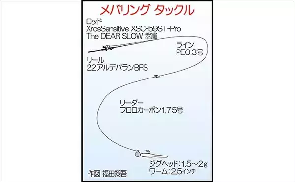 「夕マヅメのアジングで27cmマアジ手中！【福岡・新宮町】後半はメバル狙いでアコウがヒット」の画像