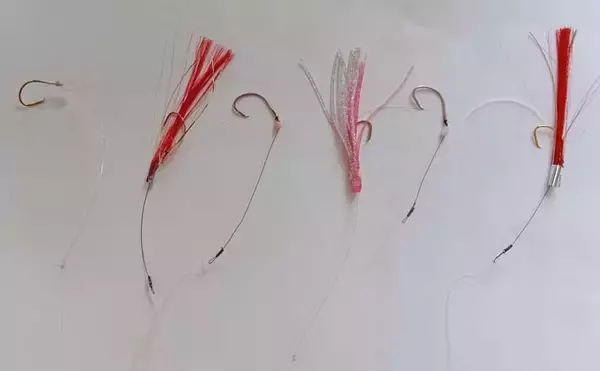 「ライト深場釣りでクロムツ連発＆キンメダブルヒット！【相模湾】逆テーパー仕掛けが活躍」の画像