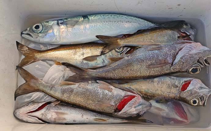 ライト深場釣りでクロムツ連発＆キンメダブルヒット！【相模湾】逆テーパー仕掛けが活躍