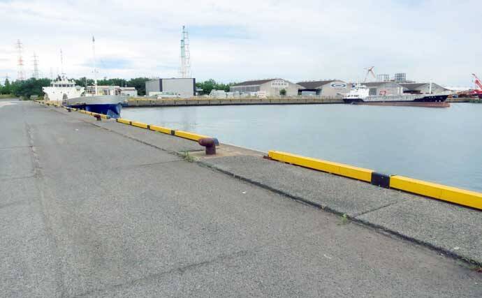 「難易度マックスだからこそ面白い！」 アミパターンのシーバスゲーム攻略法