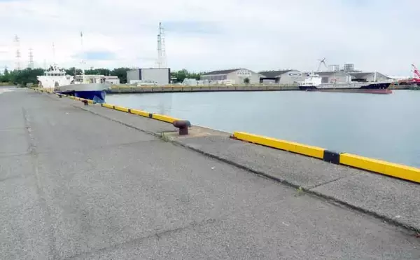 「「難易度マックスだからこそ面白い！」 アミパターンのシーバスゲーム攻略法」の画像