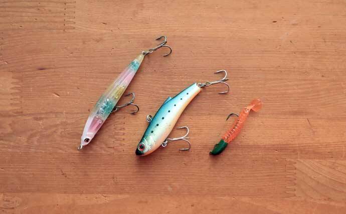 「難易度マックスだからこそ面白い！」 アミパターンのシーバスゲーム攻略法