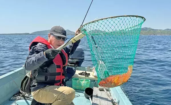 「上対馬でのタイラバ＆インチク釣行でキジハタやアカハタなど根魚が入れ食い！【長崎】」の画像