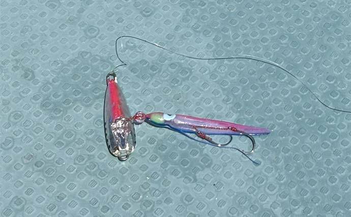 上対馬でのタイラバ＆インチク釣行でキジハタやアカハタなど根魚が入れ食い！【長崎】