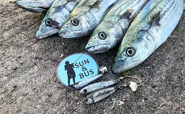 「大阪湾陸っぱりルアー釣行で70cmサワラ浮上！【大阪南港魚つり園】昼でもチャンスあり」の画像