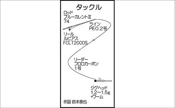 「「不発から一転！」志賀島のライトゲームでヒラセイゴ40cm超と良型アジ連発【福岡】」の画像
