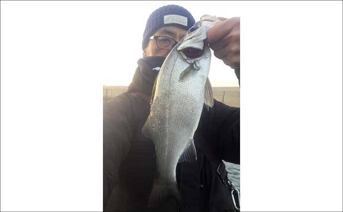 「不発から一転！」志賀島のライトゲームでヒラセイゴ40cm超と良型アジ連発【福岡】