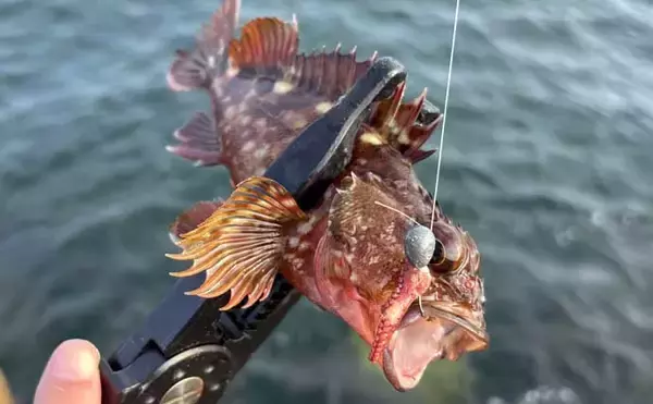 「「寒さは判断力と注意力を奪う！」 真冬の釣りが安全に成立する気温は何度まで？」の画像