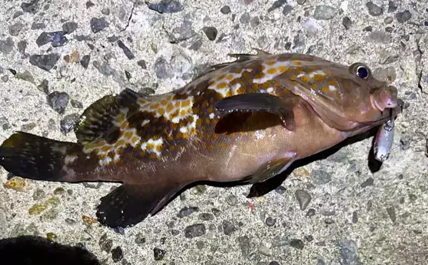 「「寒さは判断力と注意力を奪う！」 真冬の釣りが安全に成立する気温は何度まで？」の画像