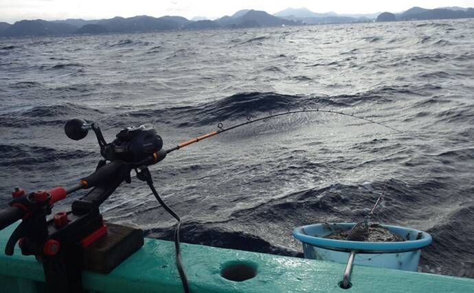 東京湾金谷沖の金アジを釣る！【勘次郎丸】タナ取りの正確さで釣果に大きな差